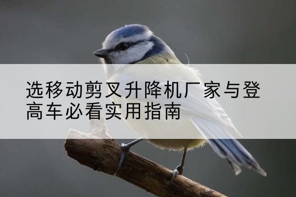 亭湖电动升降机厂家-选移动剪叉升降机厂家与登高车必看实用指南