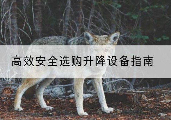 亭湖升降货梯厂家推荐-*安全选购升降设备指南